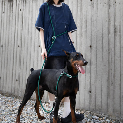 Limited-Slip Half-Check Dog Collar & Hands-Free Training Leash
