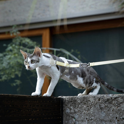 Conjunto de Arnês para Gato Leve em H