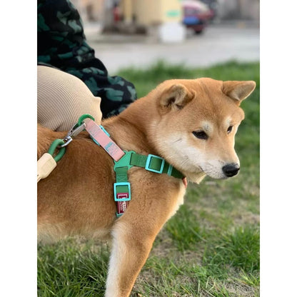 Peitoral Impermeável para Cão Neon Paws