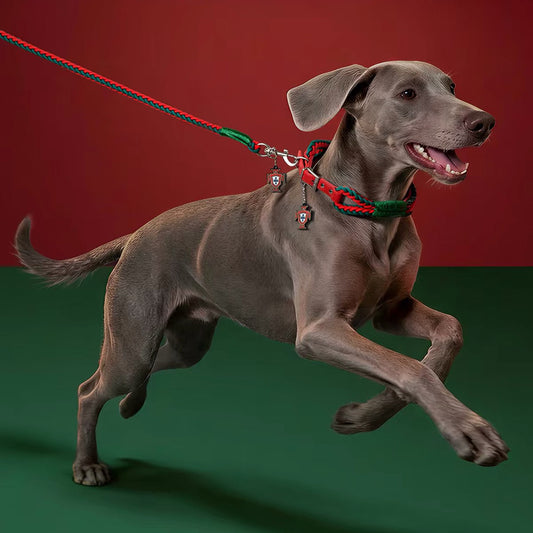 Team Portugal Dog Collar & Leash Set