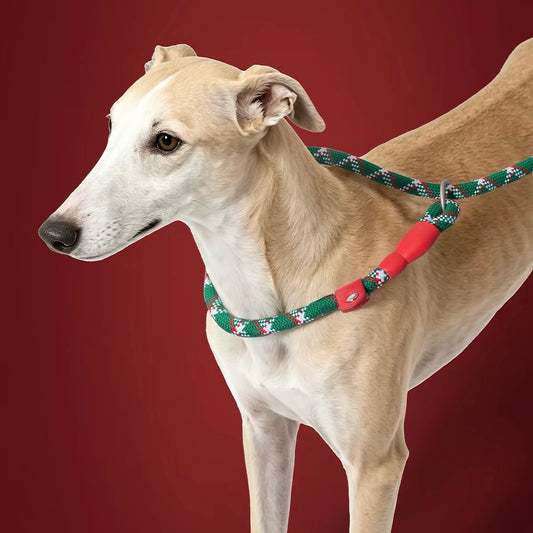 Team Portugal Dog Leash