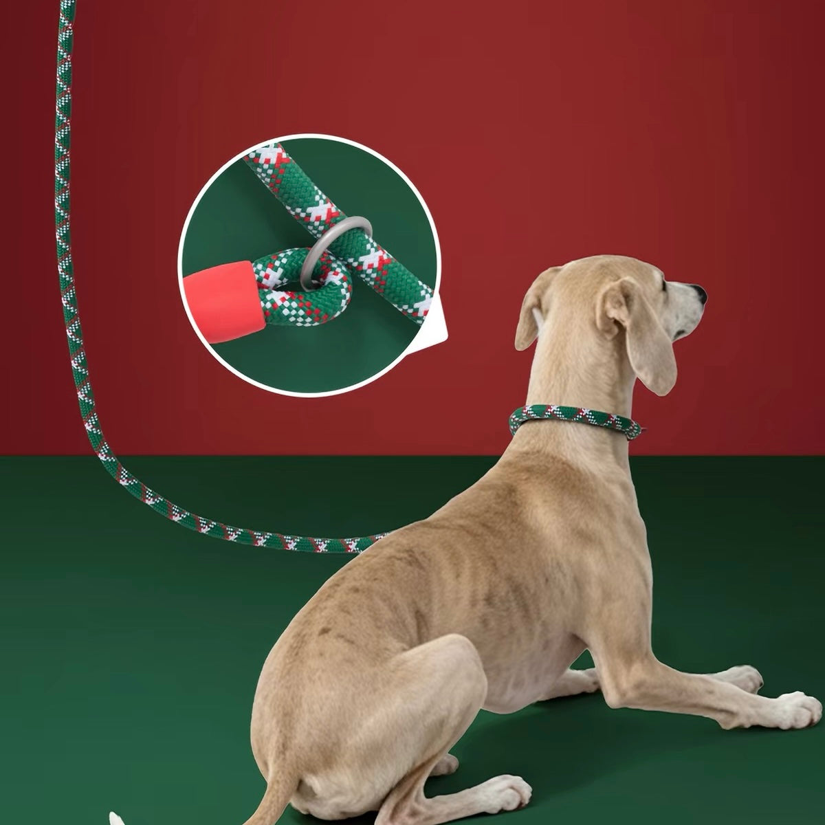 Team Portugal Dog Leash