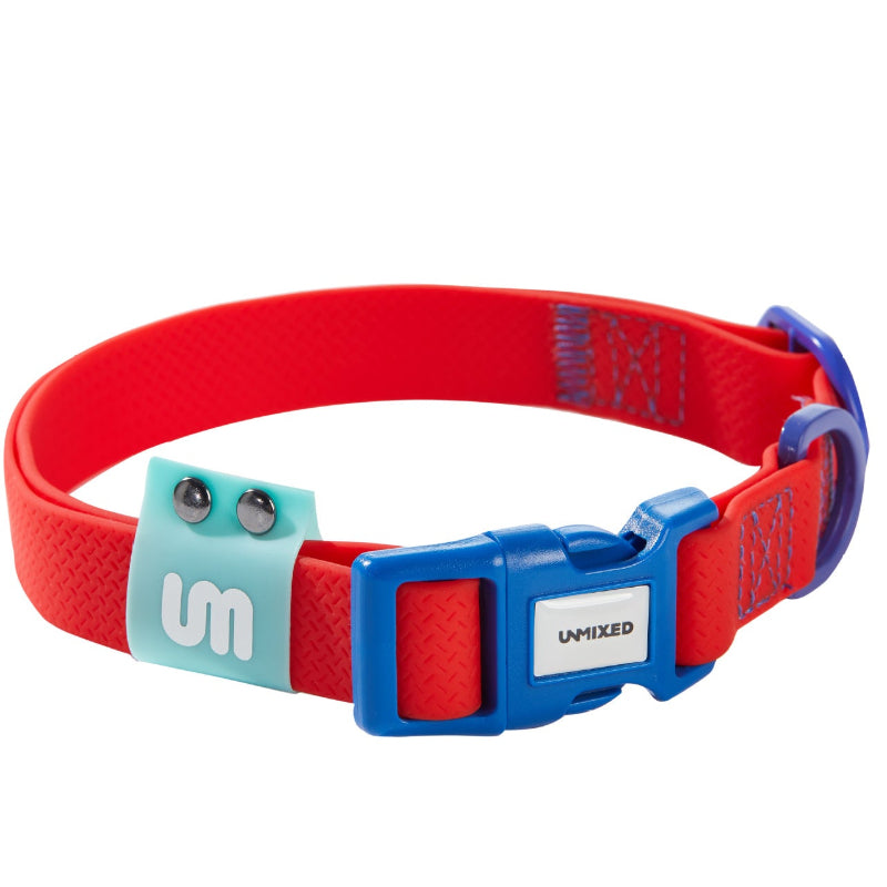 Neon Paws Waterproof Dog Collar