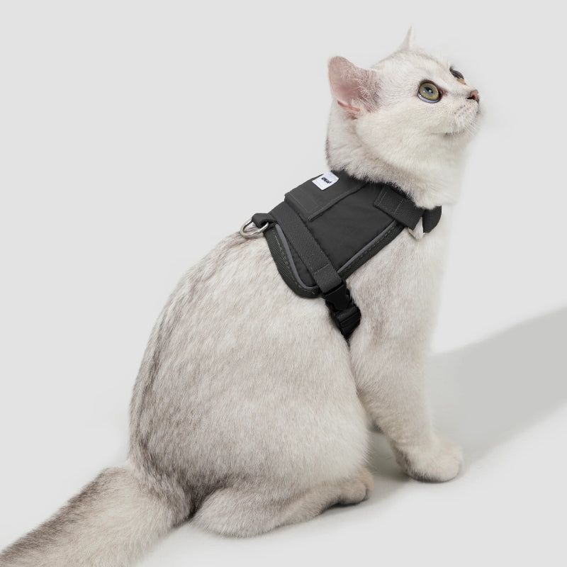 Conjunto de Arnês Estilo Colete para Gato com Bolso para Localizador