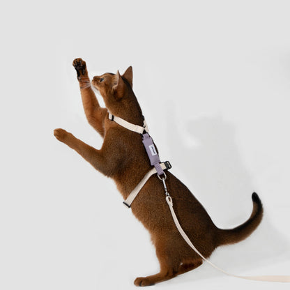 H-Shape Cat Harness Set
