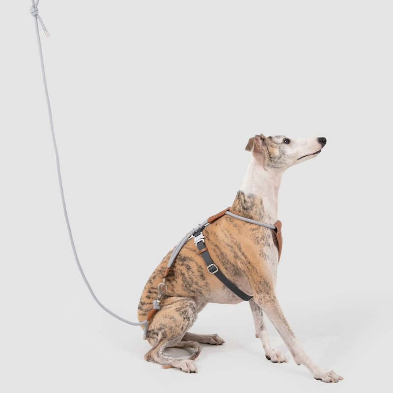 Adjustable Dog Harness & Round Rope Leash Set