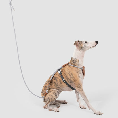 Adjustable Dog Harness & Round Rope Leash Set