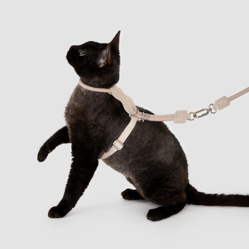H-Shaped Cat Harness Set