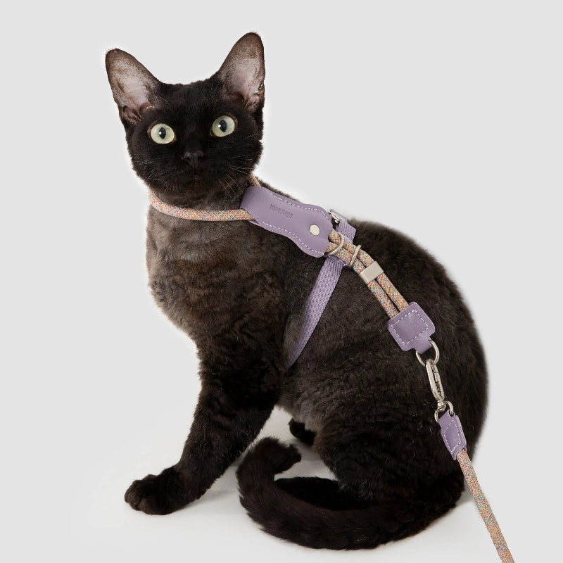 H-Shaped Cat Harness Set