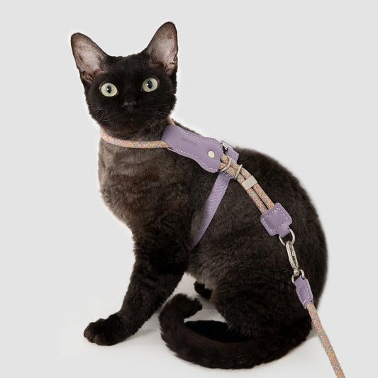 H-Shaped Cat Harness Set