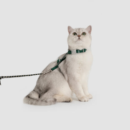 Conjunto de Arnês Ultraleve para Gato em Forma de H