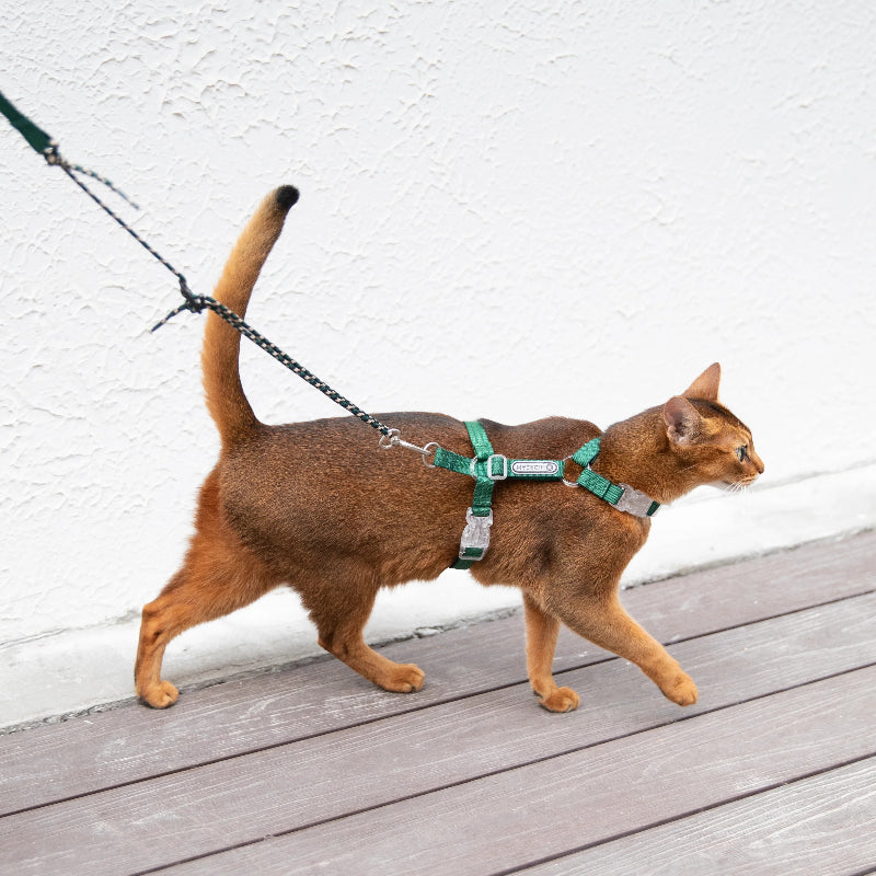 Conjunto de Arnês Ultraleve para Gato em Forma de H