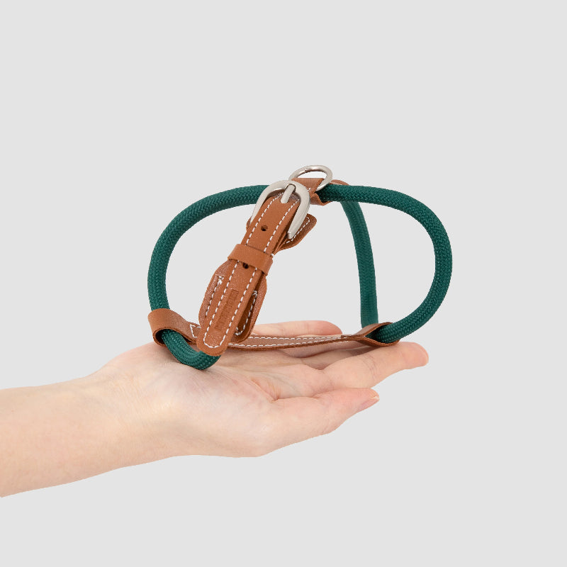 X-Shaped Lightweight Cat Harness Set