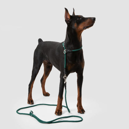 Limited-Slip Half-Check Dog Collar & Hands-Free Training Leash