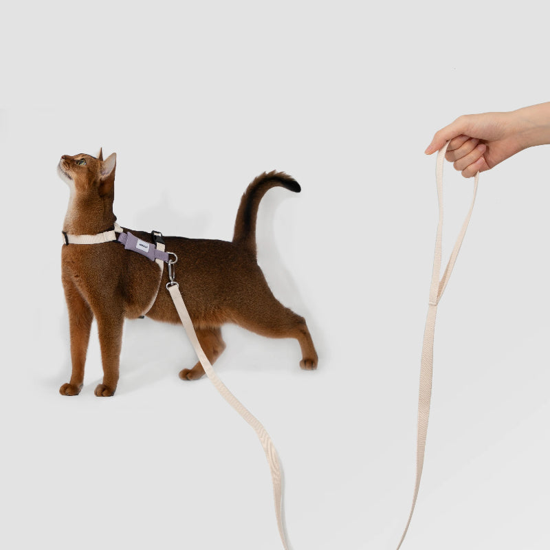 H-Shape Cat Harness Set