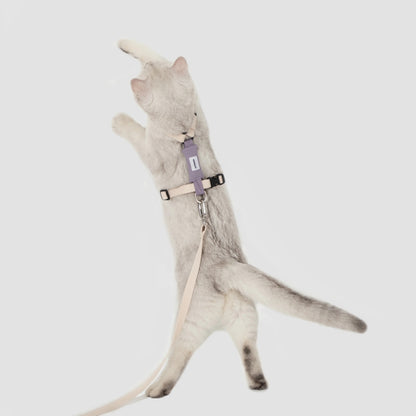 H-Shape Cat Harness Set