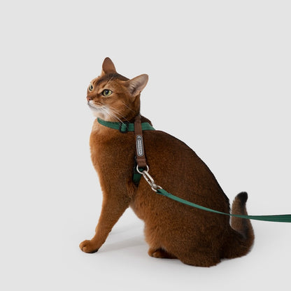 Multi-Way Wear Choke-Free Cat Harness Set