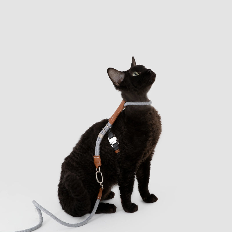 H-Shaped Cat Harness Set
