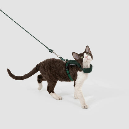 Conjunto de Arnês e Trela Mãos-Livres para Gato em Bombazina