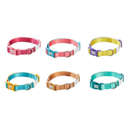 Neon Paws Adjustable Dog Collar