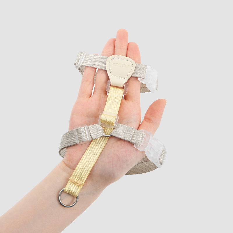 Conjunto de Arnês para Gato Leve em H