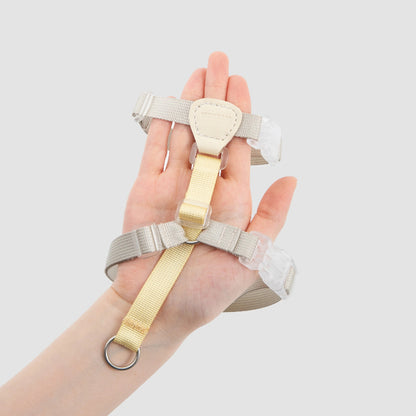 Conjunto de Arnês para Gato Leve em H