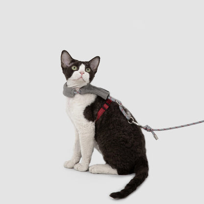 Conjunto de Arnês e Trela Mãos-Livres para Gato em Bombazina