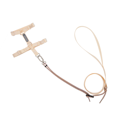 Conjunto de Arnês Ultraleve para Gato em Forma de H
