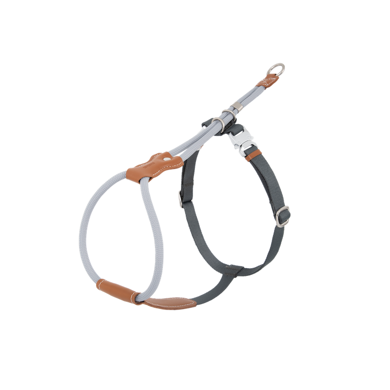 Adjustable Dog Harness & Round Rope Leash Set