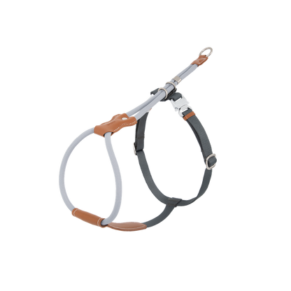 Adjustable Dog Harness & Round Rope Leash Set
