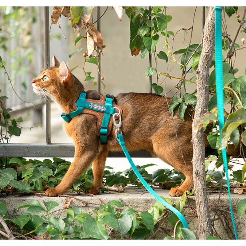 H-Shaped PU Leather Cat Harness Set