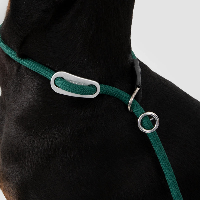 Limited-Slip Half-Check Dog Collar & Hands-Free Training Leash