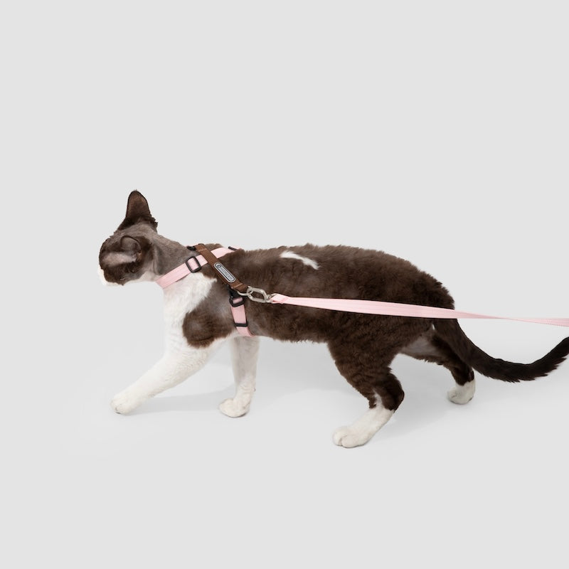 Multi-Way Wear Choke-Free Cat Harness Set