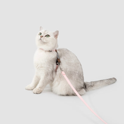 Multi-Way Wear Choke-Free Cat Harness Set