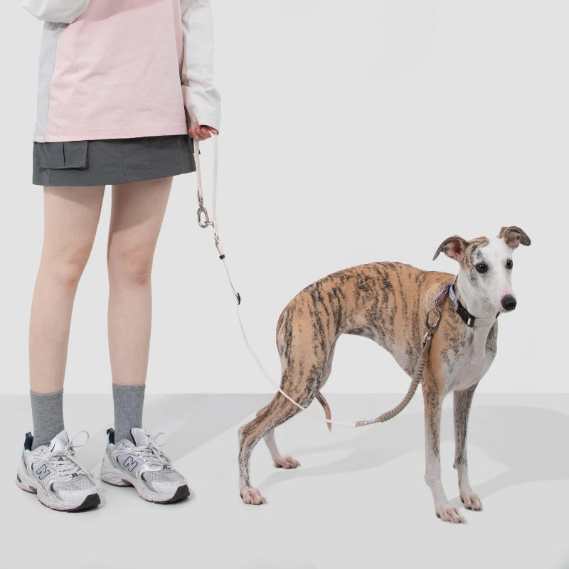 Coleira de Galgo Anti-Puxão Meia-Escorrega
