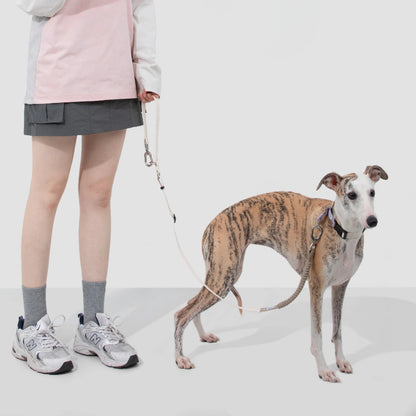 Coleira de Galgo Anti-Puxão Meia-Escorrega