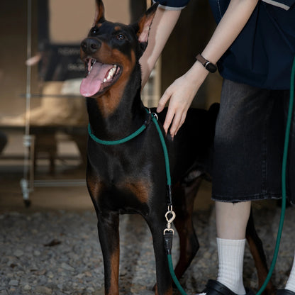 Limited-Slip Half-Check Dog Collar & Hands-Free Training Leash
