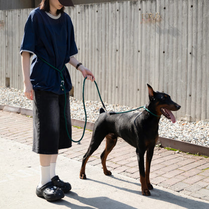 Limited-Slip Half-Check Dog Collar & Hands-Free Training Leash