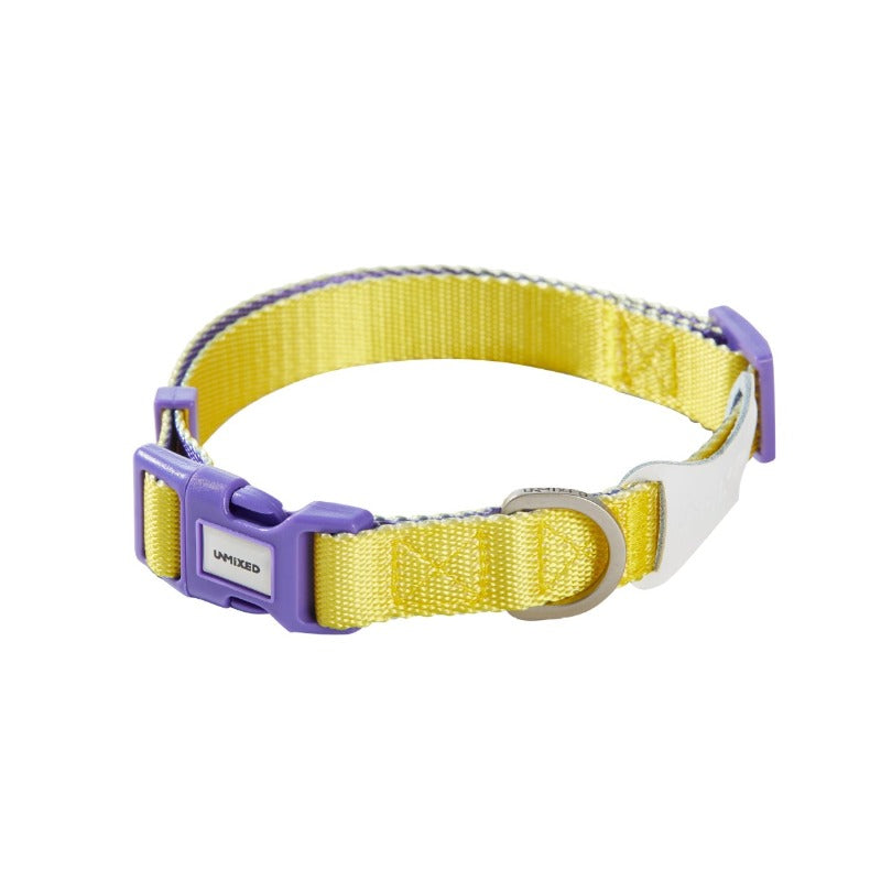 Neon Paws Adjustable Dog Collar