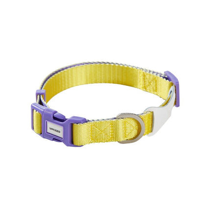 Neon Paws Adjustable Dog Collar