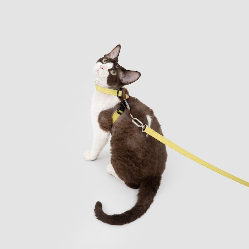 Multi-Way Wear Choke-Free Cat Harness Set