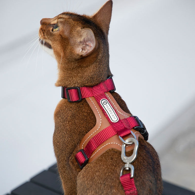 H-Shaped PU Leather Cat Harness Set