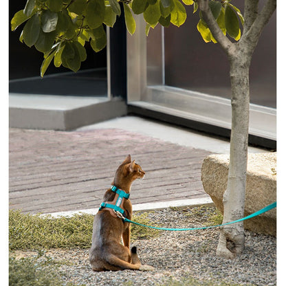 H-Shaped PU Leather Cat Harness Set