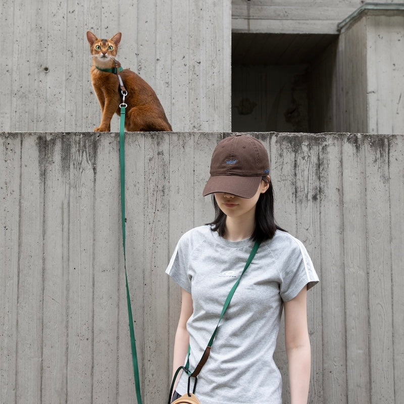 Multi-Way Wear Choke-Free Cat Harness Set