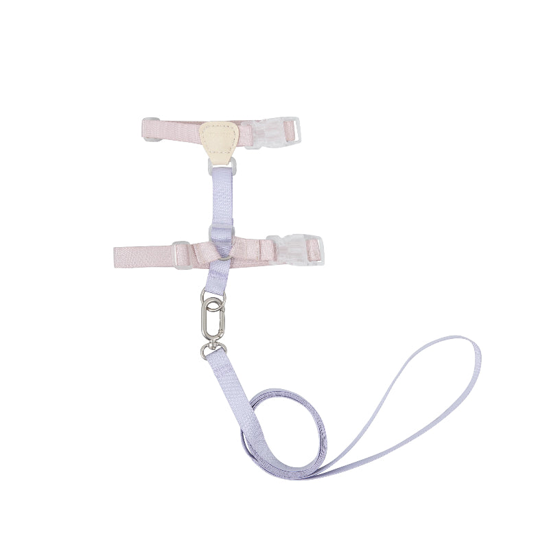 Conjunto de Arnês para Gato Leve em H