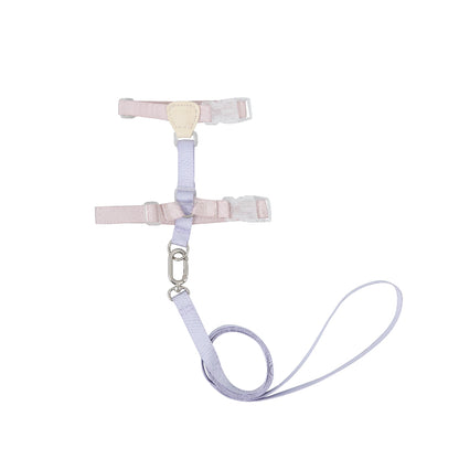 Conjunto de Arnês para Gato Leve em H