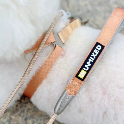 Neon Paws Adjustable Dog Harness