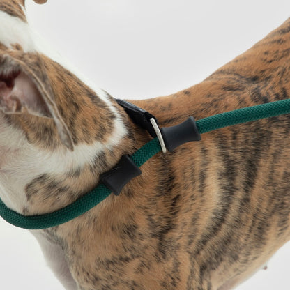 Trela de Treino Antiescapadelas para Cães