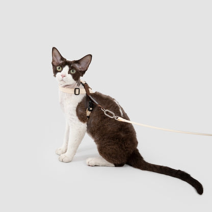 Multi-Way Wear Choke-Free Cat Harness Set