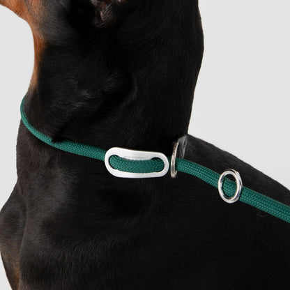 Limited-Slip Half-Check Dog Collar & Hands-Free Training Leash